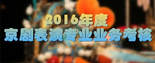 国产乱射国家京剧院2016年度京剧表演专业业务考...